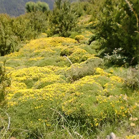 招待所 Fonda Naval Escalona