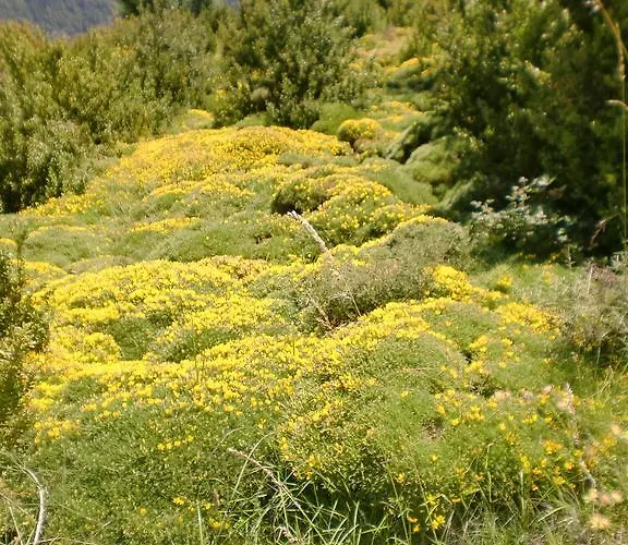 Pensión Fonda Naval Escalona